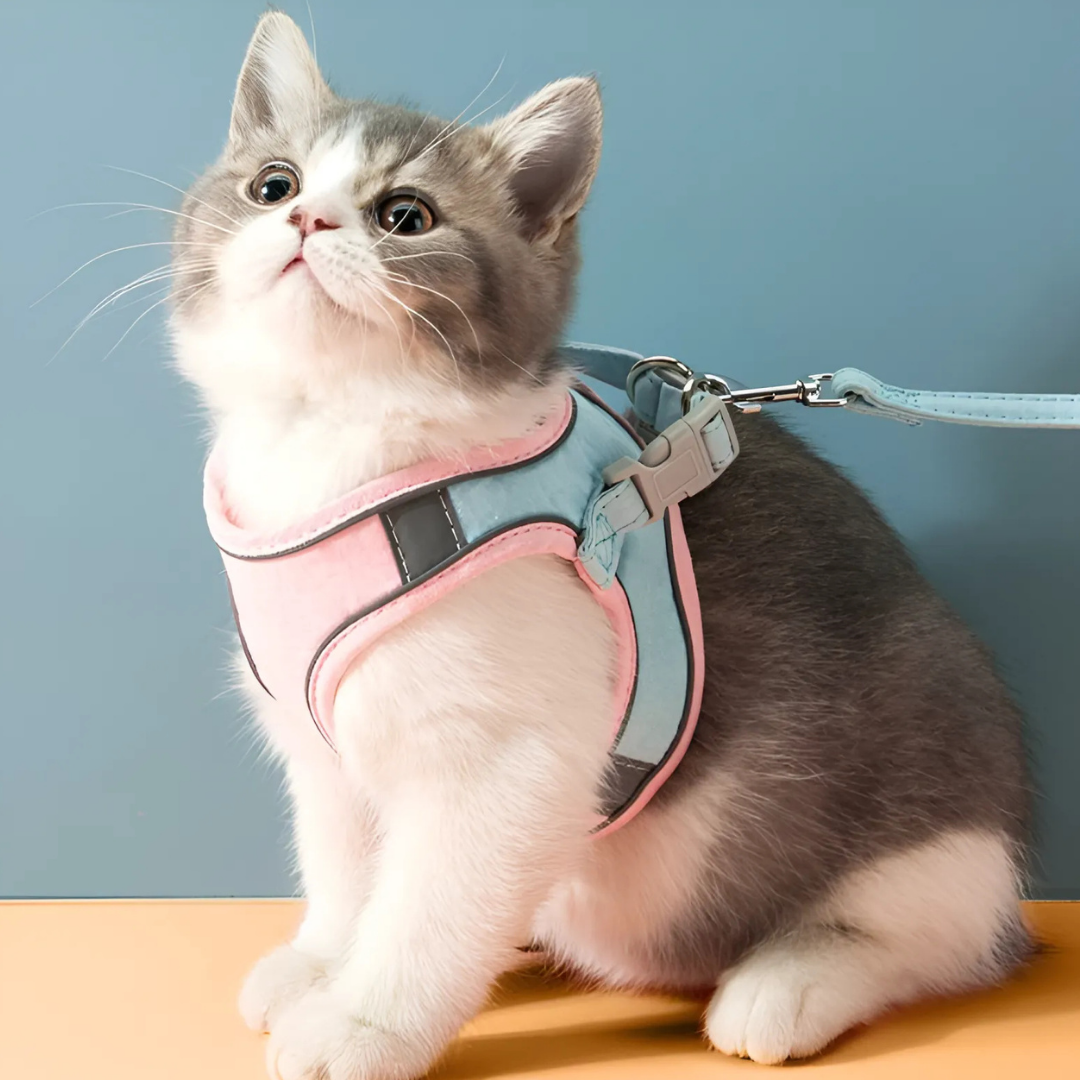 Catventure -  Verstelbaar Veiligheidstuigje Kat