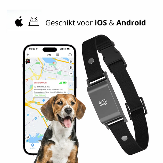 4G GPS Tracker voor Huisdieren – Waterdicht