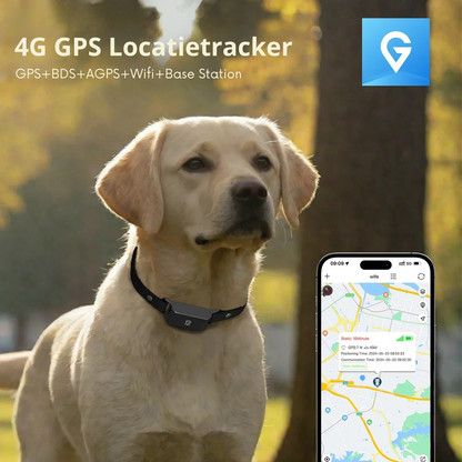 4G GPS Tracker voor Huisdieren – Waterdicht