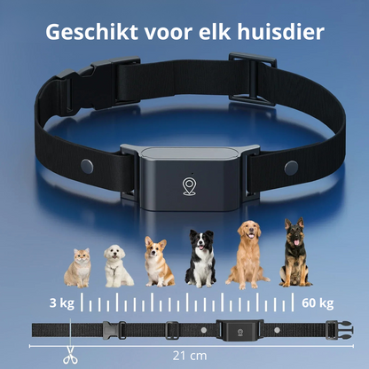 4G GPS Tracker voor Huisdieren – Waterdicht