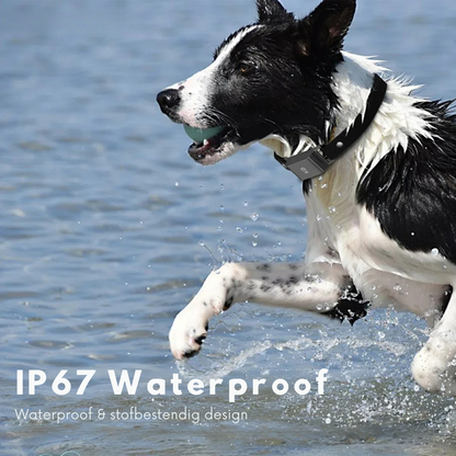 4G GPS Tracker voor Huisdieren – Waterdicht