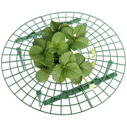 BerryBed - Verhoogde aardbeienhouder voor betere oogst