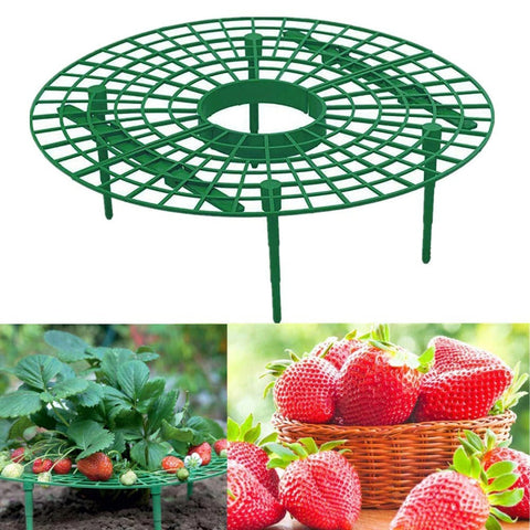 BerryBed - Verhoogde aardbeienhouder voor betere oogst