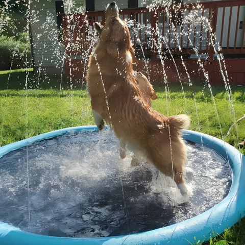 ULEO | Opvouwbare Buitenzwembad en Watersproeimat voor kind of huisdier