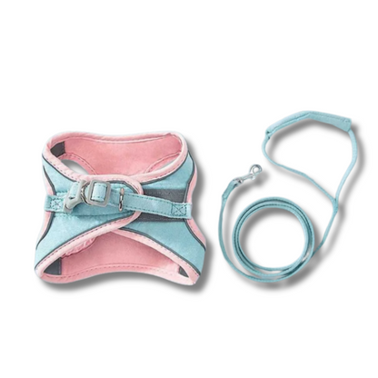 Catventure -  Verstelbaar Veiligheidstuigje Kat