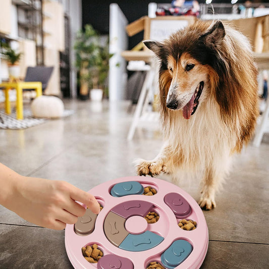 Honden Puzzel Voerbak (Interactief, Slow Feeder, Mentale Stimulatie, Voor Hond & Kat)