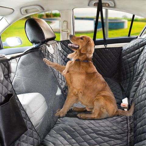 Auto Vriendelijke Huisdierbeschermingshoes | Inclusief Gratis Seat Belt