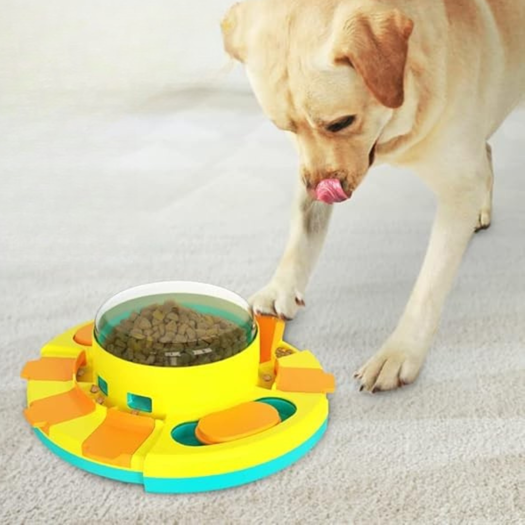 BrainBowl Interactief Voeder Speelgoed – Slimme Voerpuzzel voor Honden