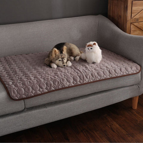 Coolmat | Warmte Absorberende Huisdiermat voor Koeling en Comfort