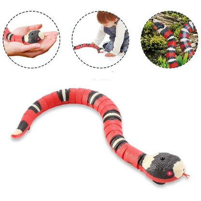 CATO | Leuk Kattenspeelgoed - Stimuleert het Jachtinstinct