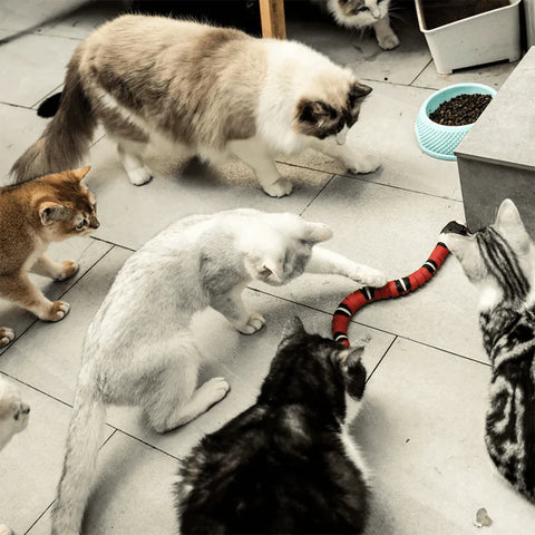 CATO | Leuk Kattenspeelgoed - Stimuleert het Jachtinstinct