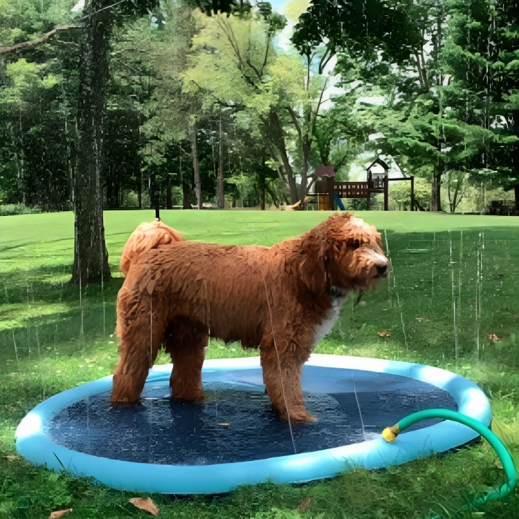 ULEO | Opvouwbare Buitenzwembad en Watersproeimat voor kind of huisdier