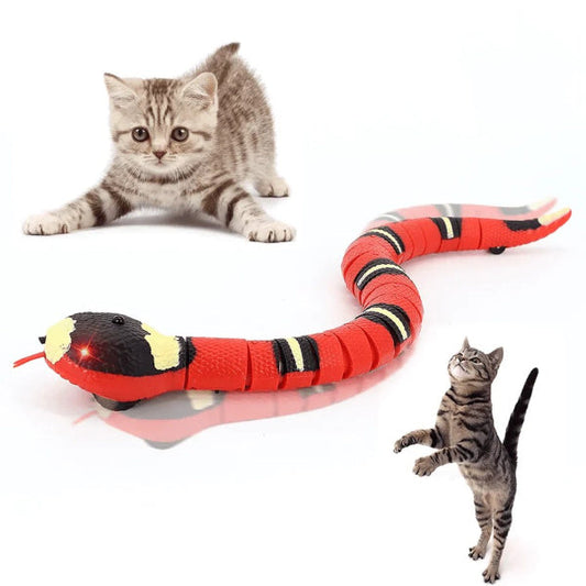 CATO | Leuk Kattenspeelgoed - Stimuleert het Jachtinstinct