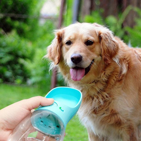 BINKS | 4-In-1 Draagbare Fles voor Honden