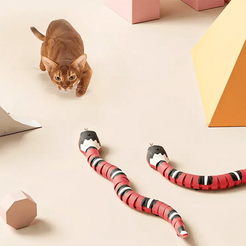 CATO | Leuk Kattenspeelgoed - Stimuleert het Jachtinstinct