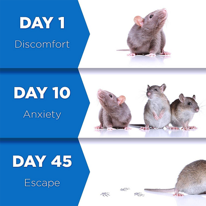 Pest Reject | Geen last meer van insecten!