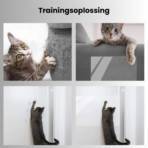 BENI| Transparante Meubelbeschermer